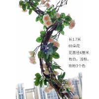 uploads/erp/collection/images/Home Garden/CongDing/XU0612024/img_b/XU0612024_img_b_2